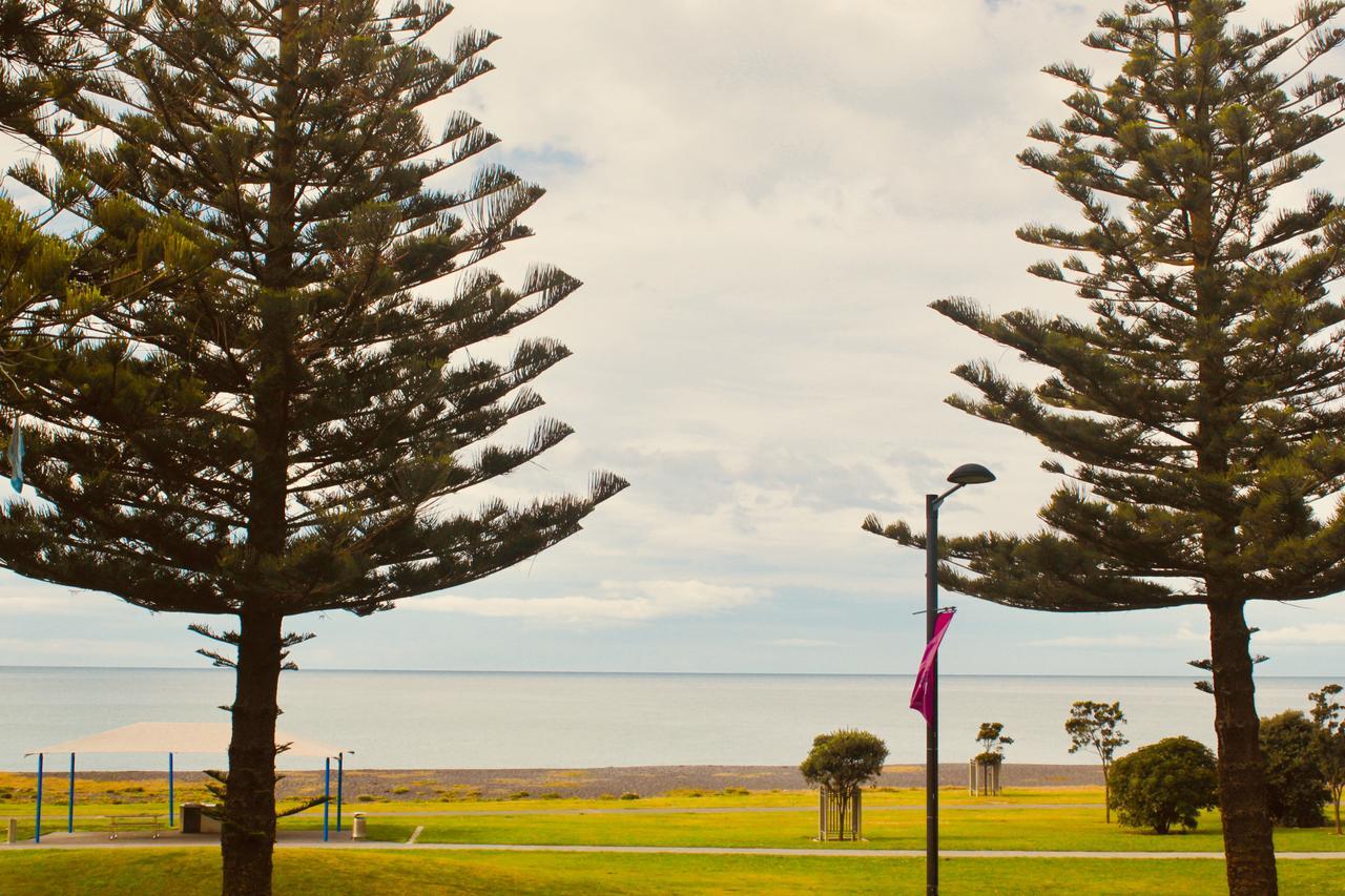 The Nautilus Napier Exterior foto View of the bay from the foreshore