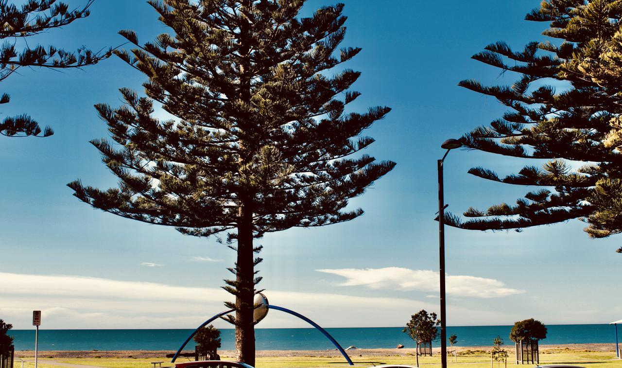 The Nautilus Napier Exterior foto View of the beach from the foreshore