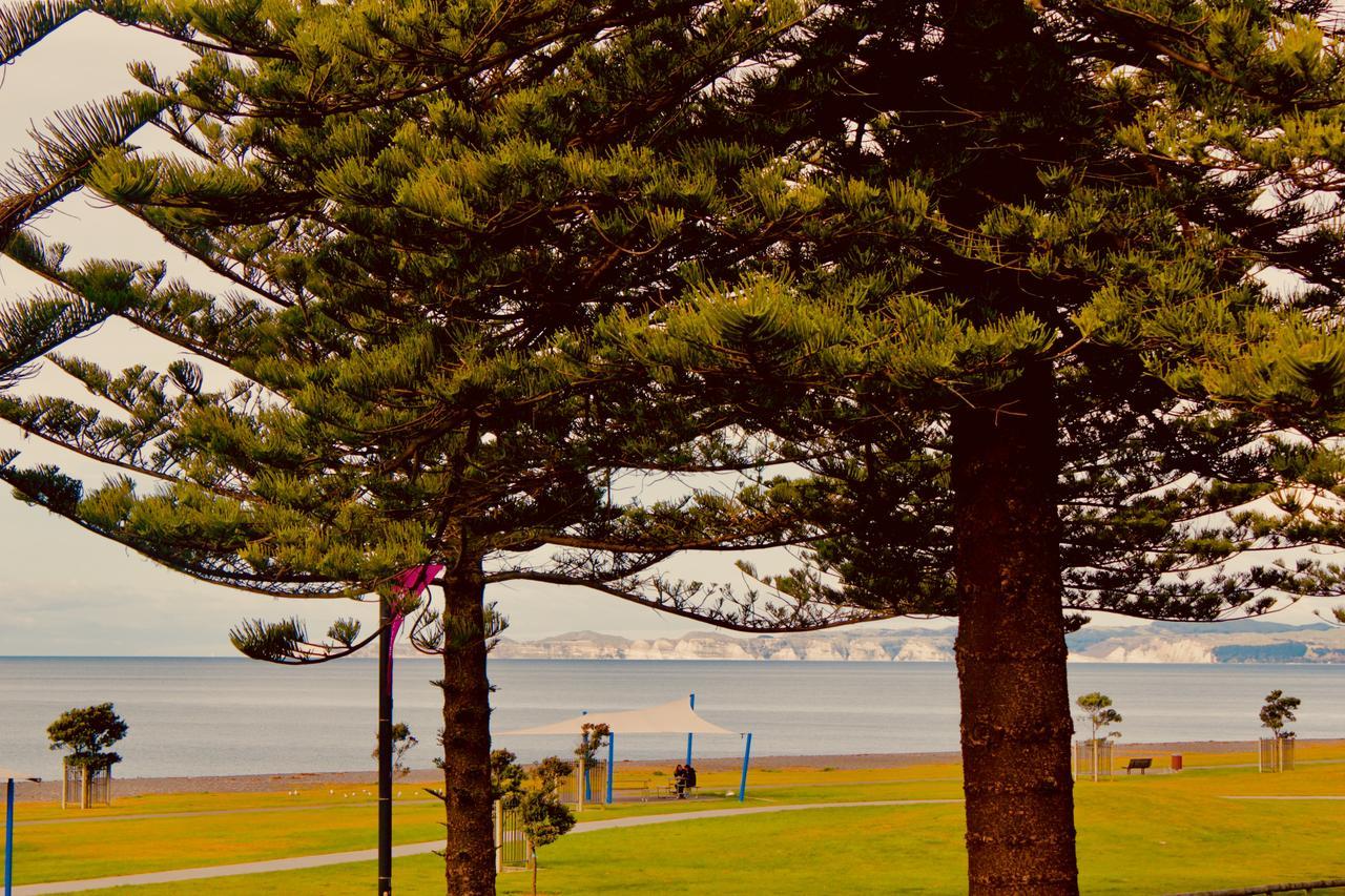 The Nautilus Napier Exterior foto View of the bay from the foreshore